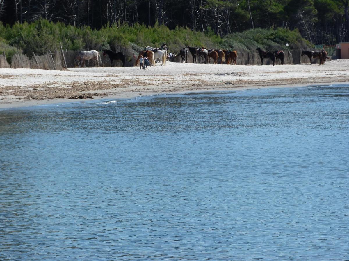 מרינה די צ'צ'ינה Affittacamere A Due Passi Dal Mare מראה חיצוני תמונה